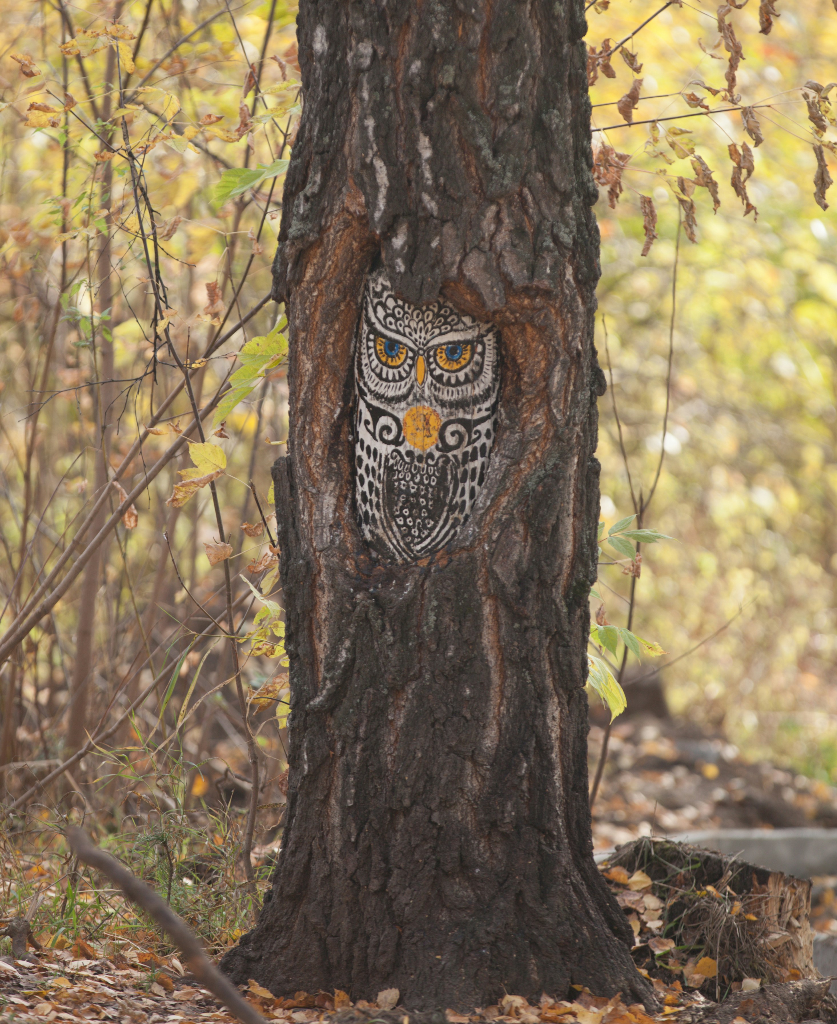 Photo by anamnesis33