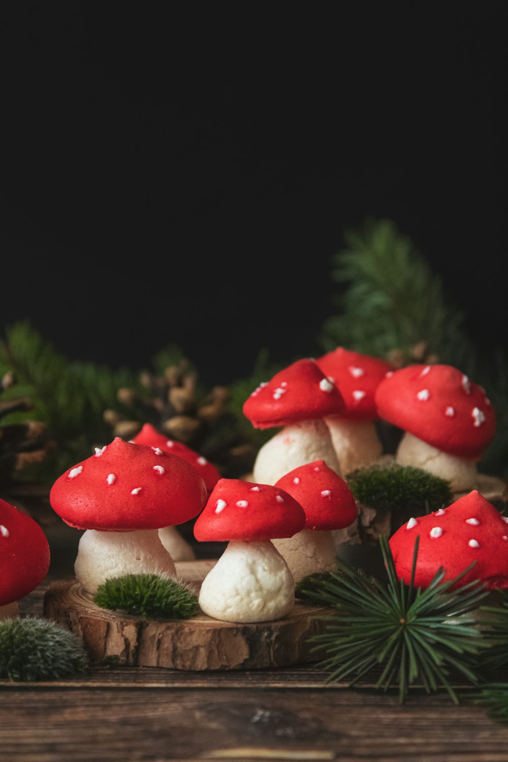 red and white mushroom on green pine tree