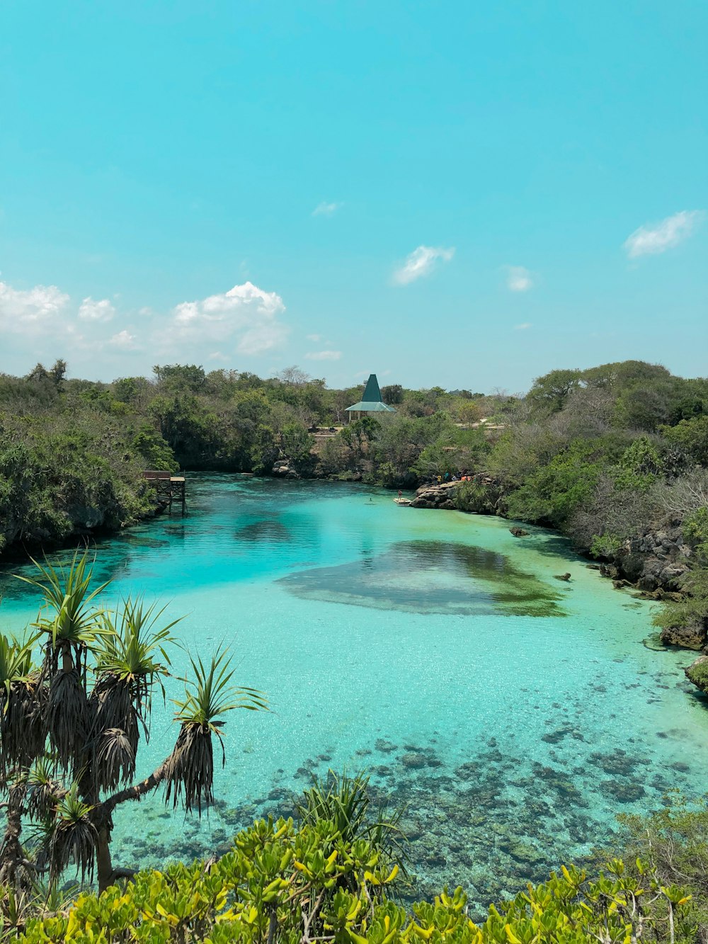 green trees beside blue sea under blue sky during daytime