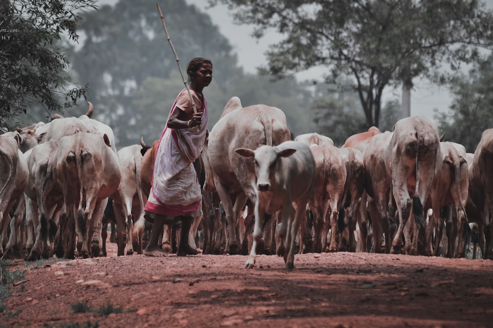 man in brown coat standing in front of white cow