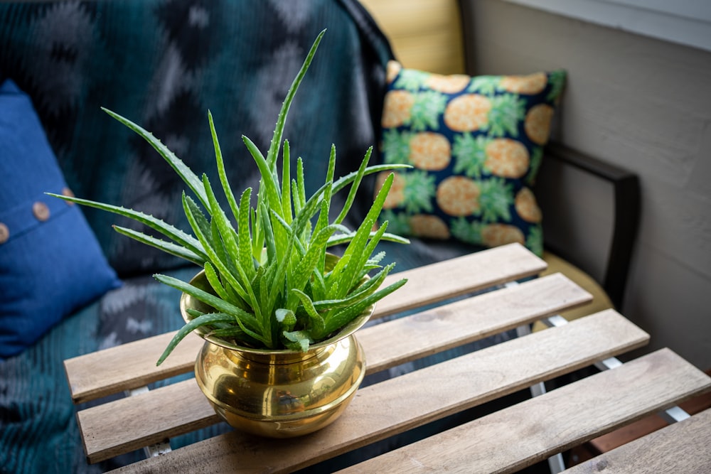 green plant in clear glass vase on brown wooden table