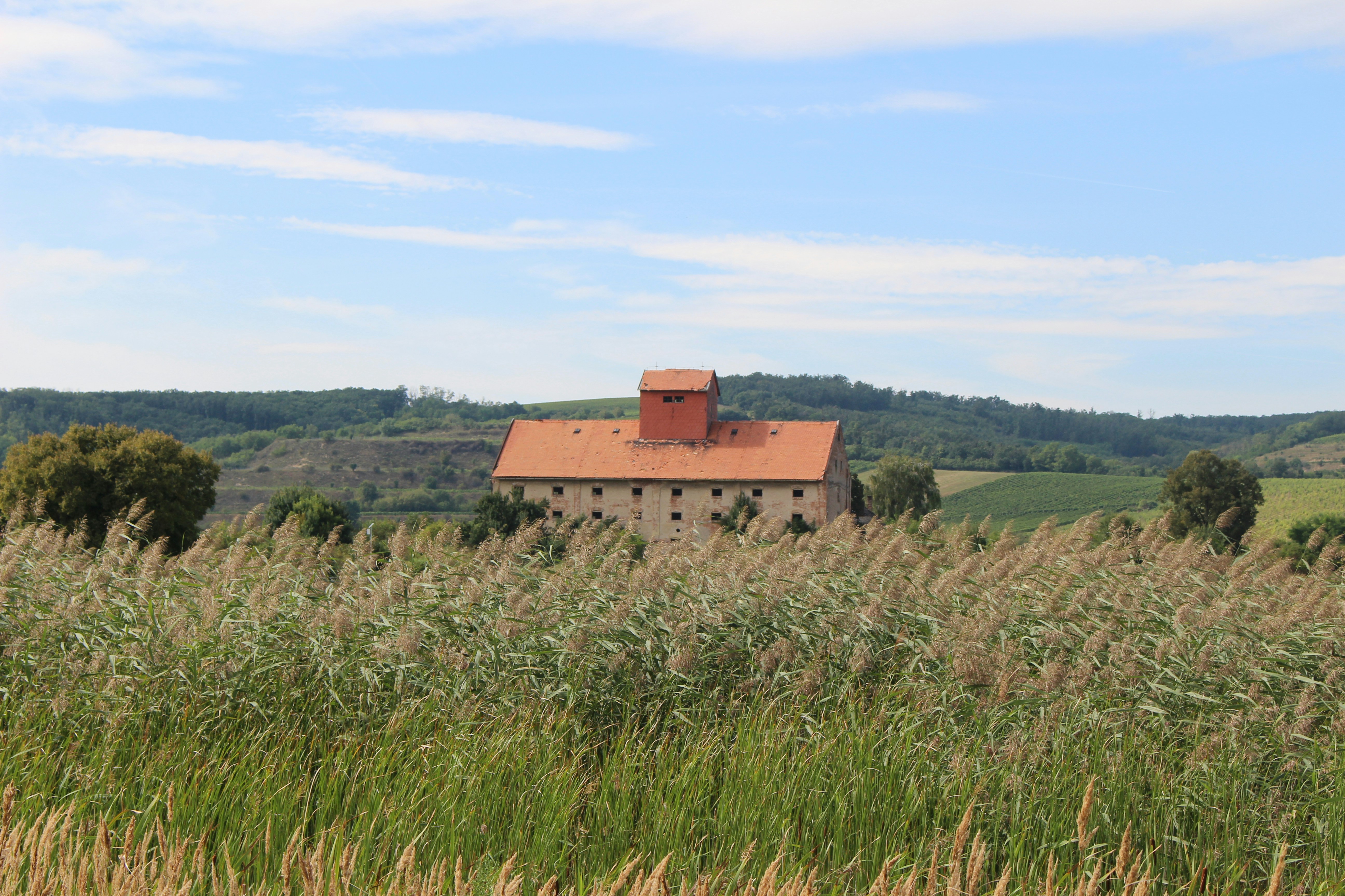 Photo by marjorylucabaxter