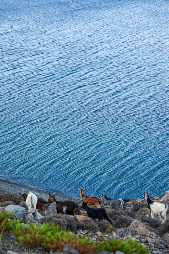 people on beach during daytime in Samothraki Greece