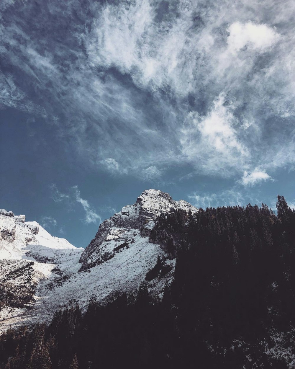 Grüne Kiefern auf felsigen Bergen unter blauem Himmel tagsüber