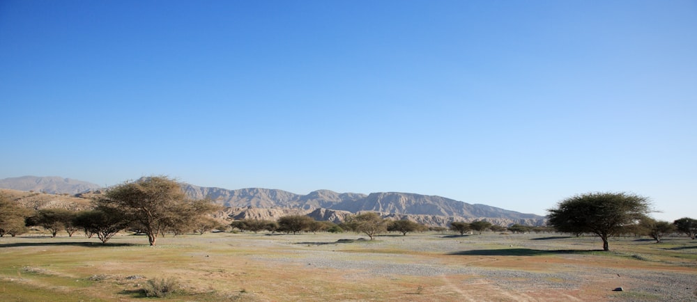 brown and green mountains under blue sky during daytime