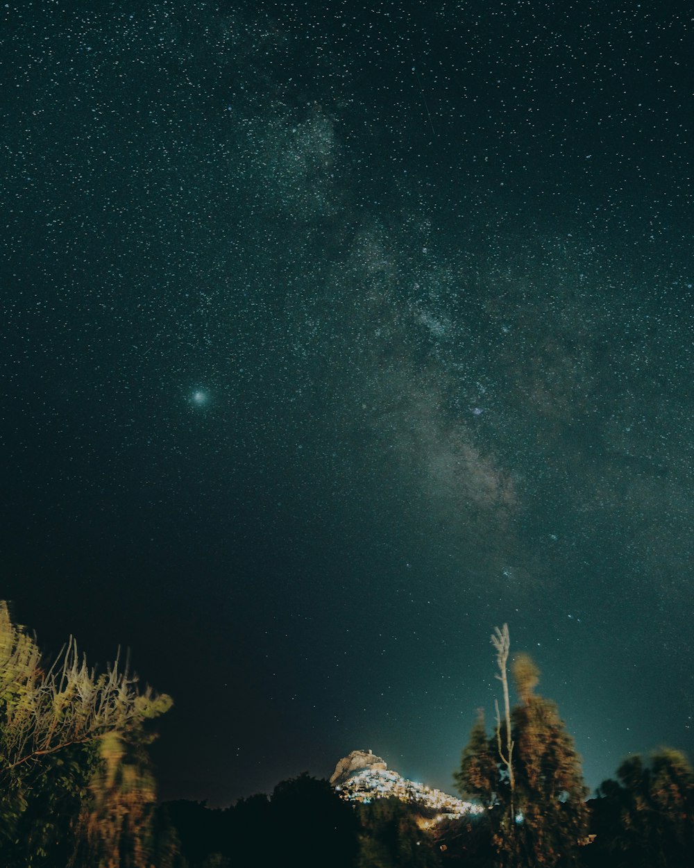 brown grass under blue sky during night time