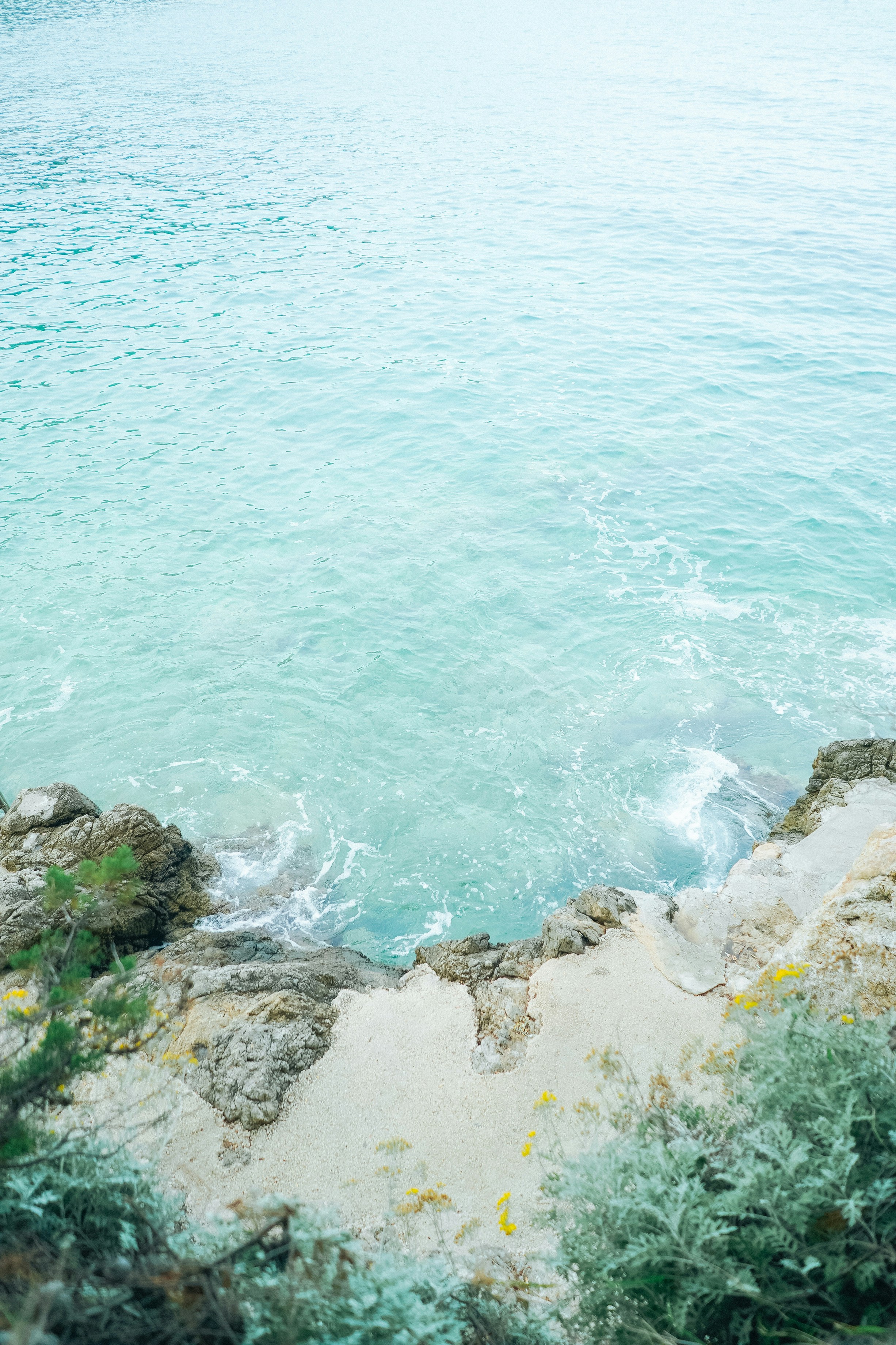 Photo by akari_kuramoto