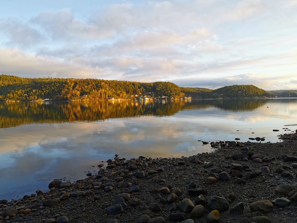 lake near trees under cloudy sky during daytime