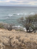 A scenic view of Santa Elena beach with surfers catching waves.
