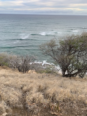 A scenic view of Santa Elena beach with surfers catching waves.