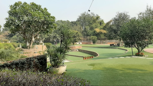 A landscaped garden with various types of trees and shrubs. The area is well-maintained with a lawn, potted plants, and distinct pathways. The sky is clear, suggesting good weather.