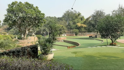 A landscaped garden with various types of trees and shrubs. The area is well-maintained with a lawn, potted plants, and distinct pathways. The sky is clear, suggesting good weather.