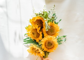 person holding yellow sunflower bouquet