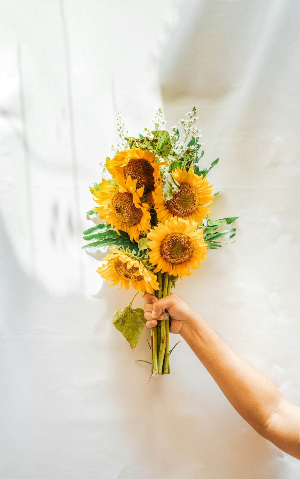 person holding yellow sunflower bouquet