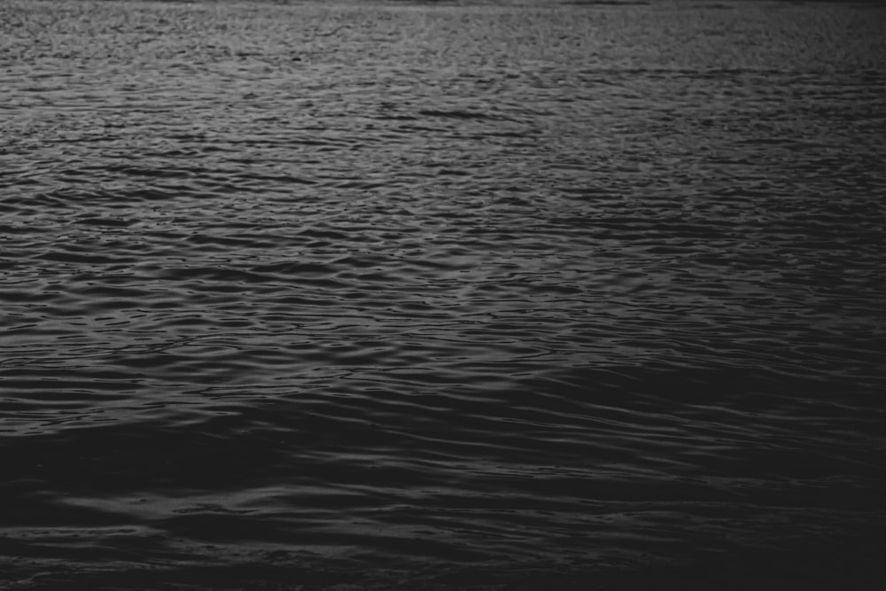 grayscale photo of body of water