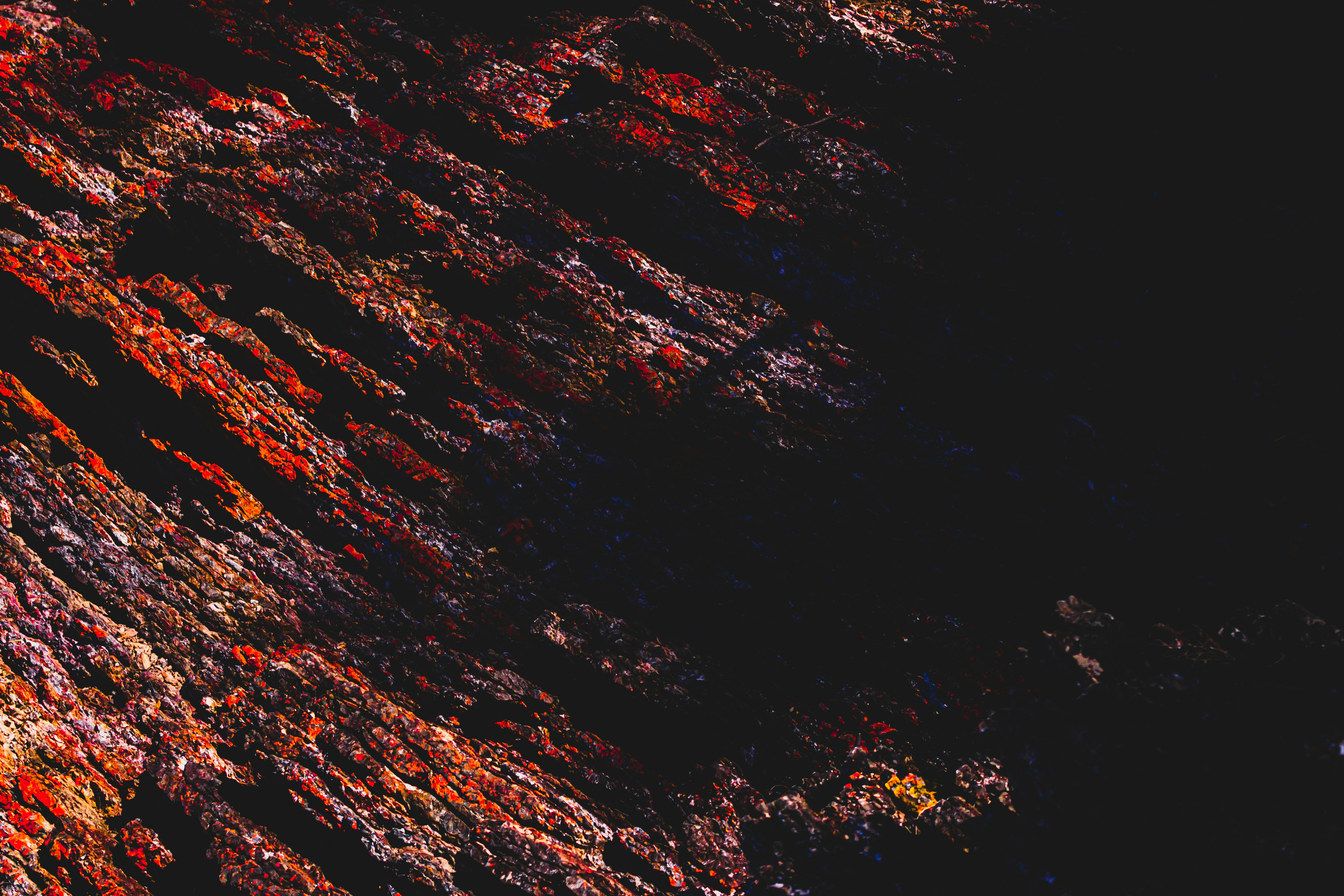 Photo by saxon_white