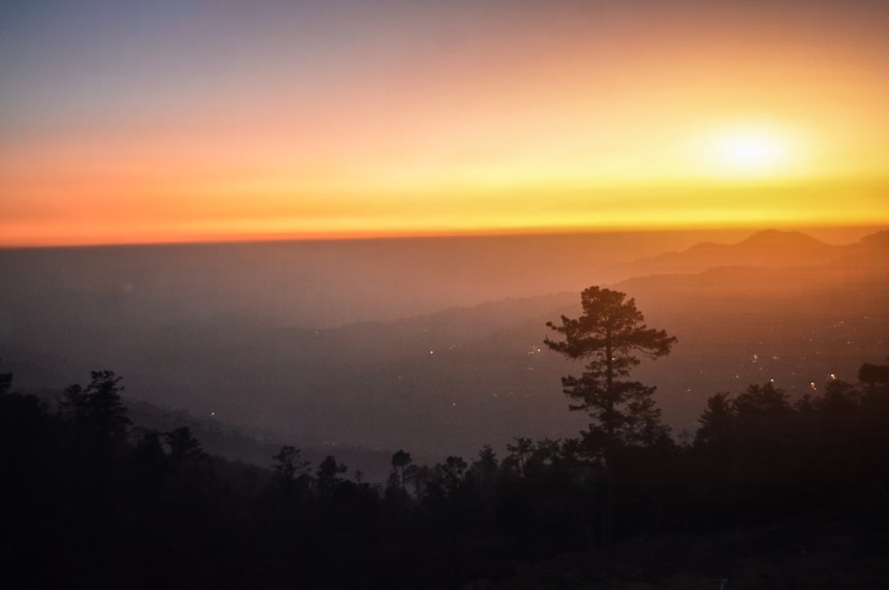 green trees on mountain during sunset