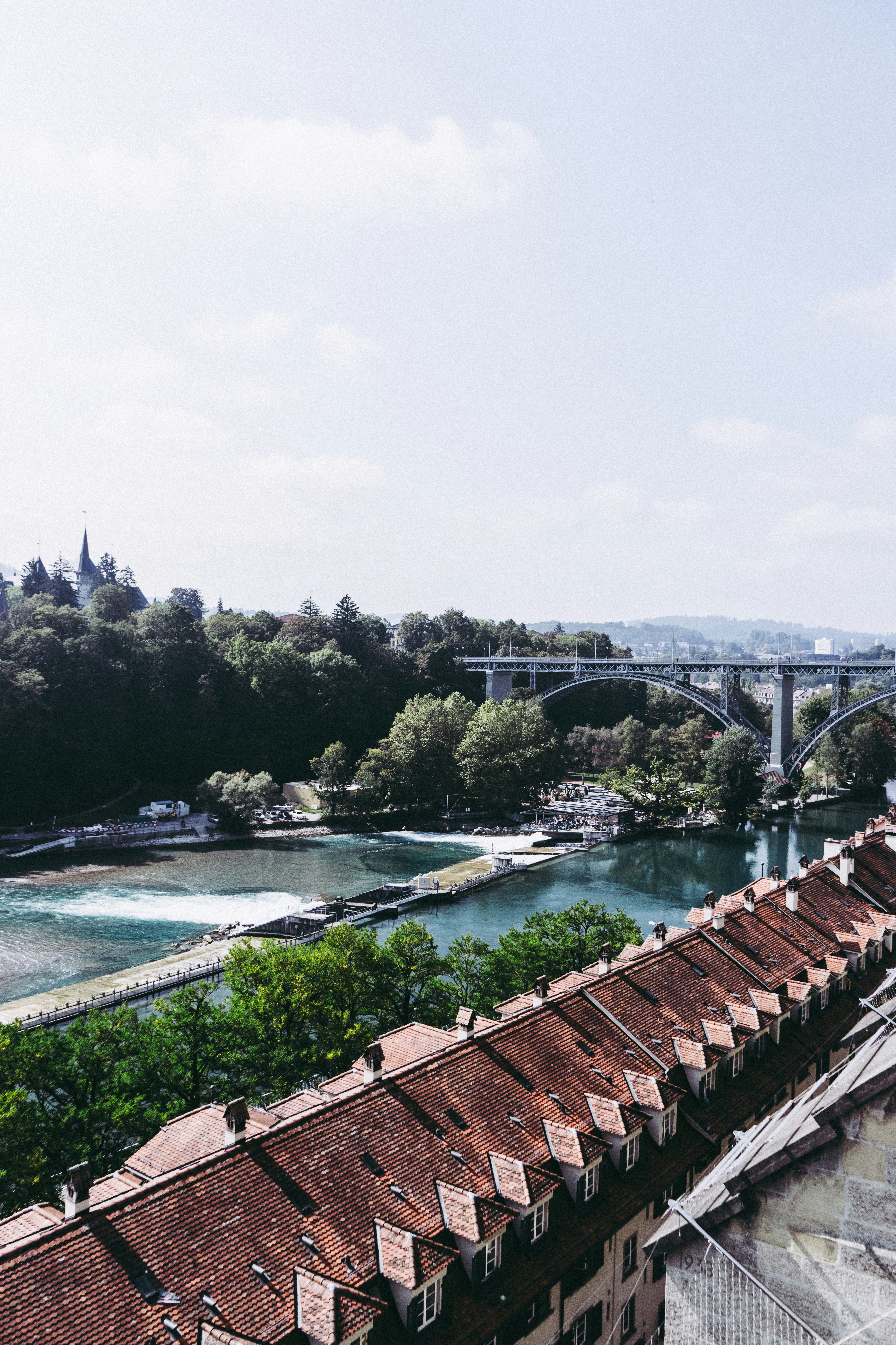 Photo by virussinside