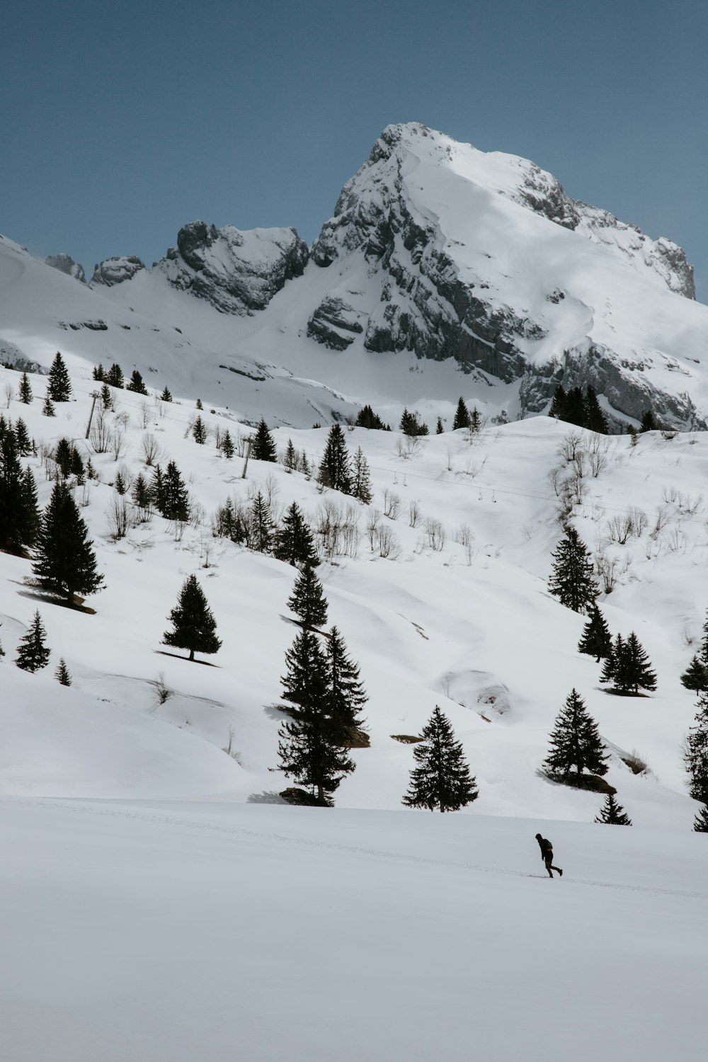Persona che cammina sulla montagna coperta di neve durante il giorno