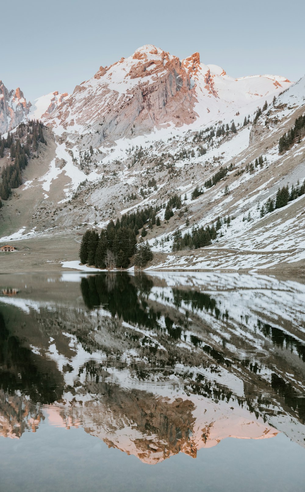 alberi verdi vicino al lago e alla montagna