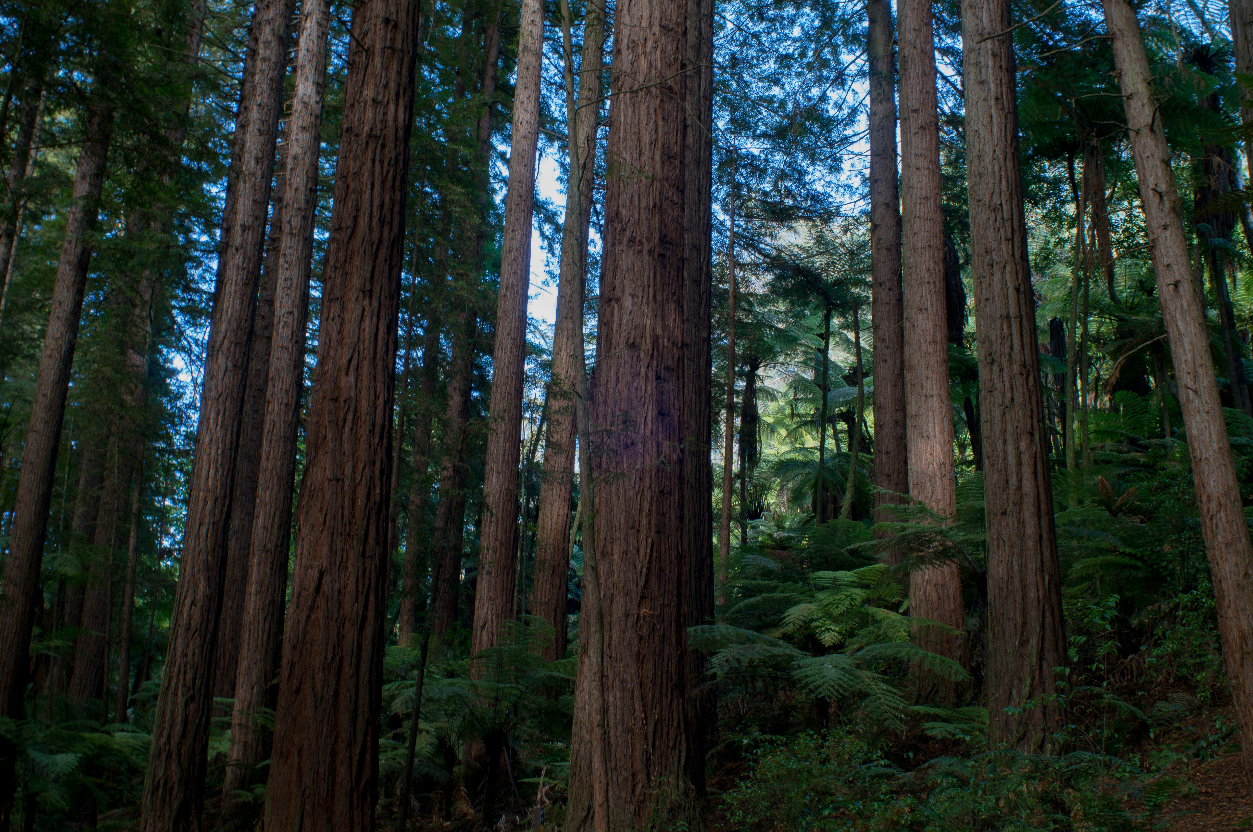 Photo by fabiomontello