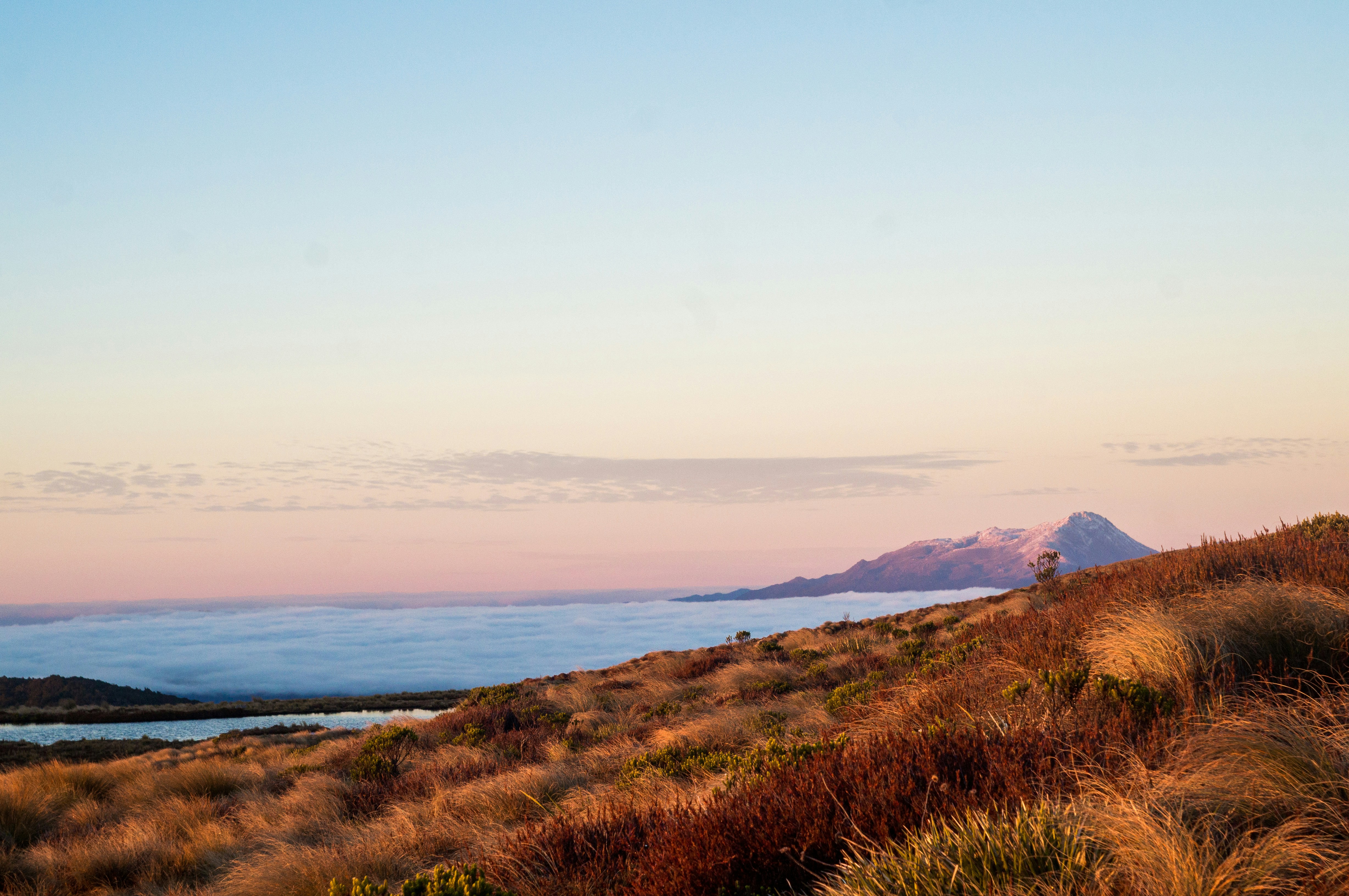 Photo by fabiomontello