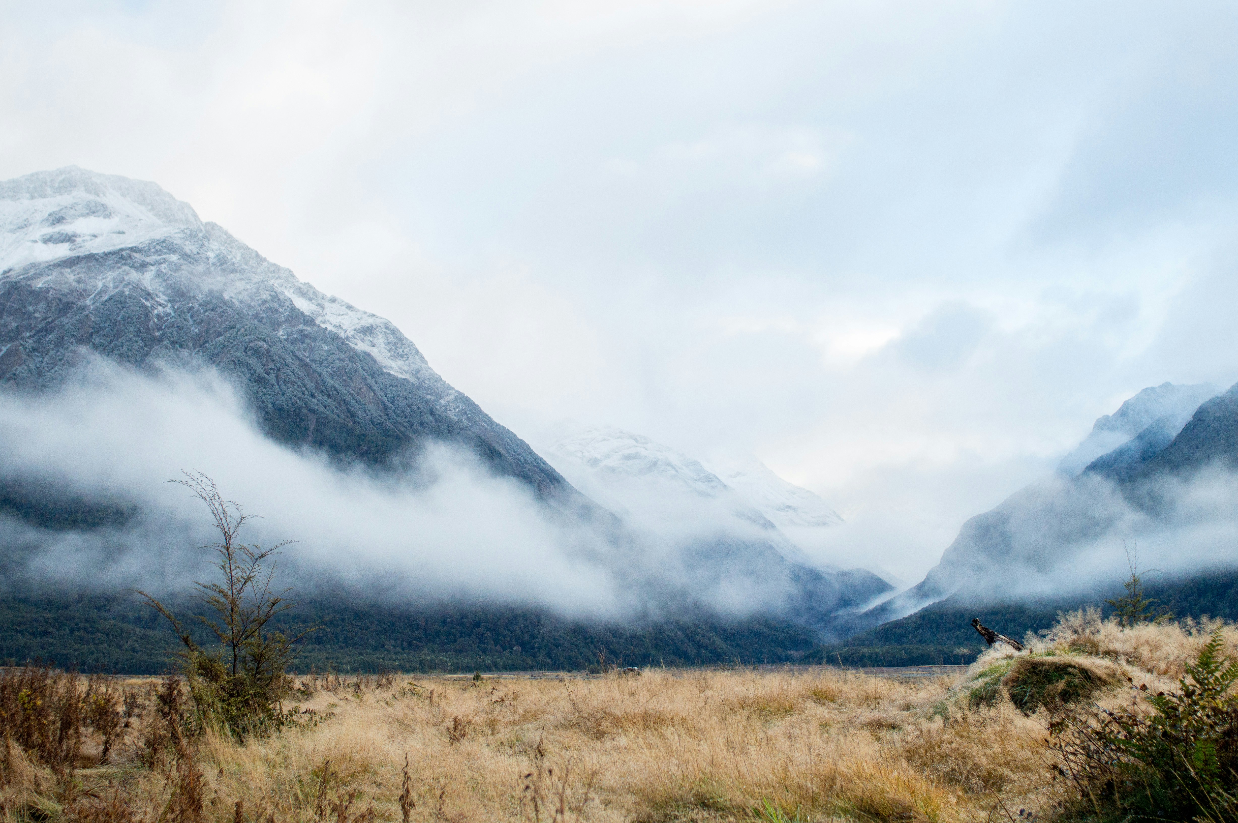 Photo by fabiomontello