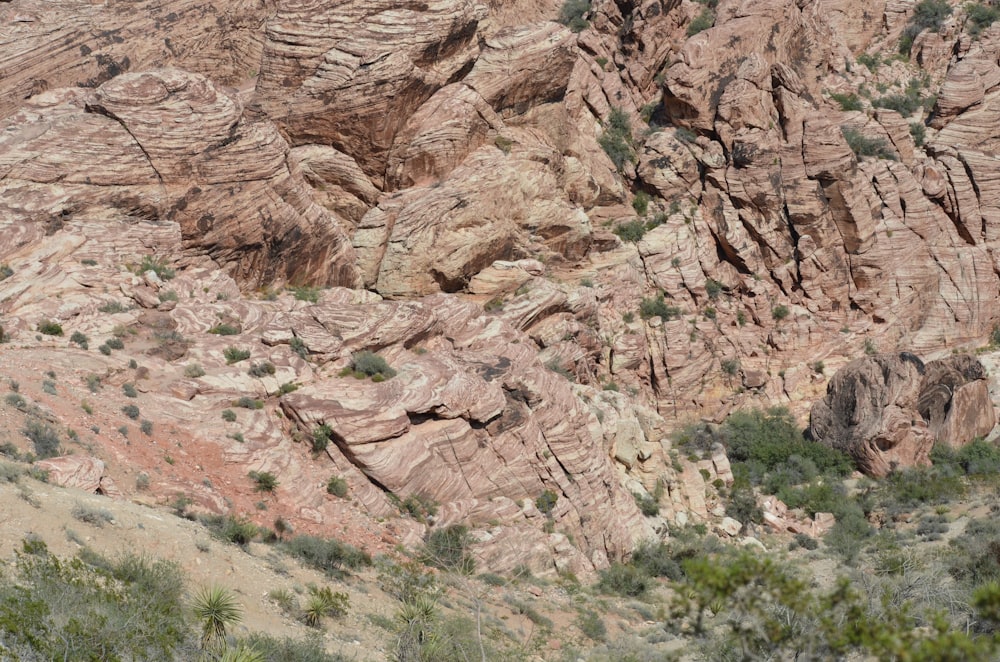 brown rock formation during daytime