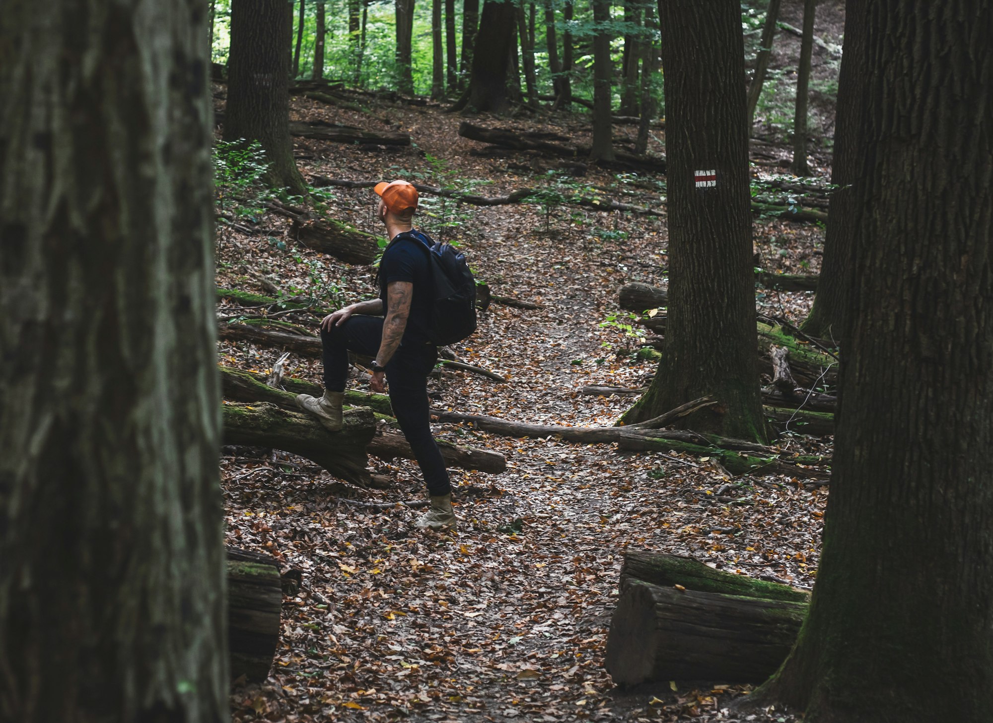 Building Mental Resilience: Key Strategies for Emotional Strength