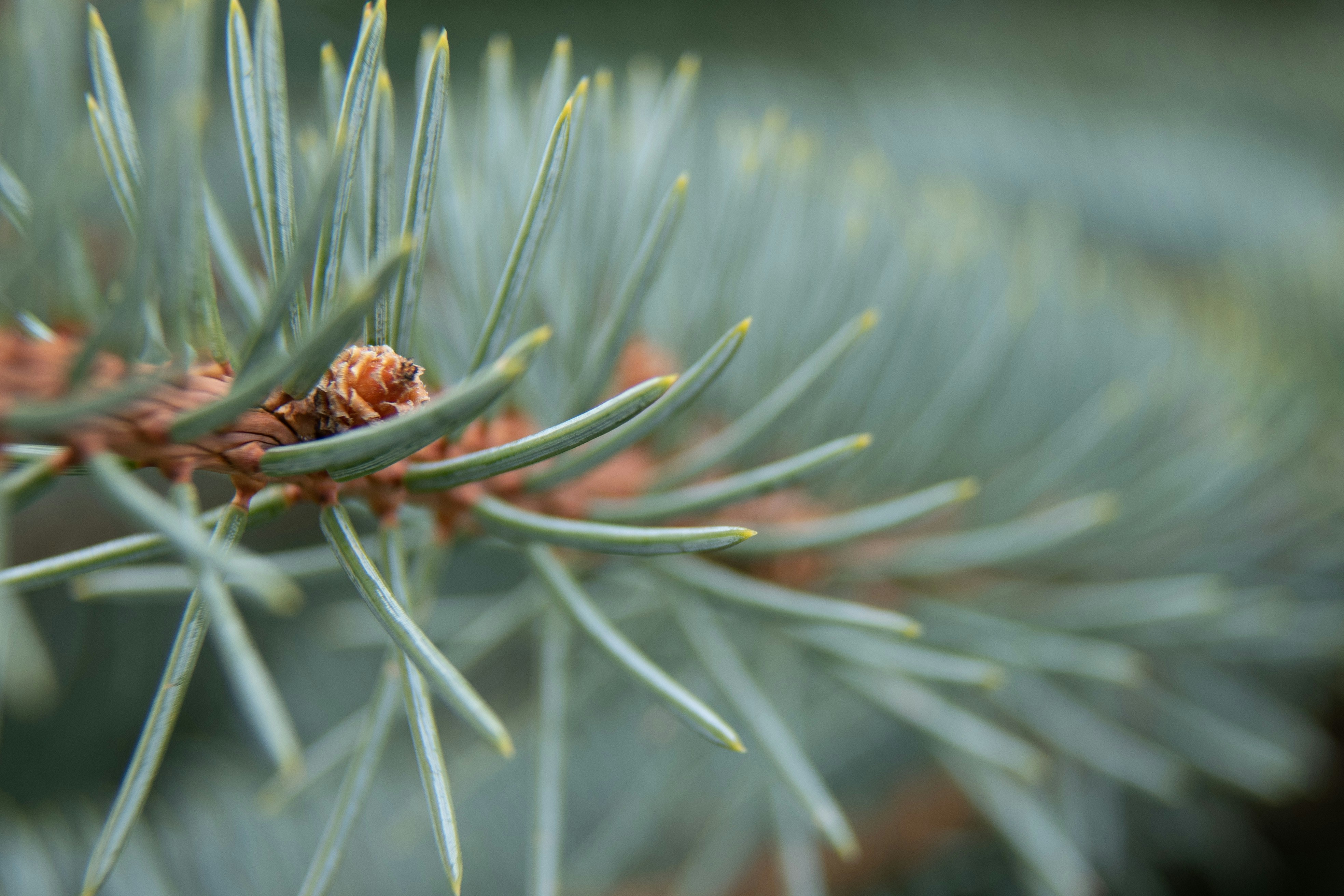 Photo by loriane_photography