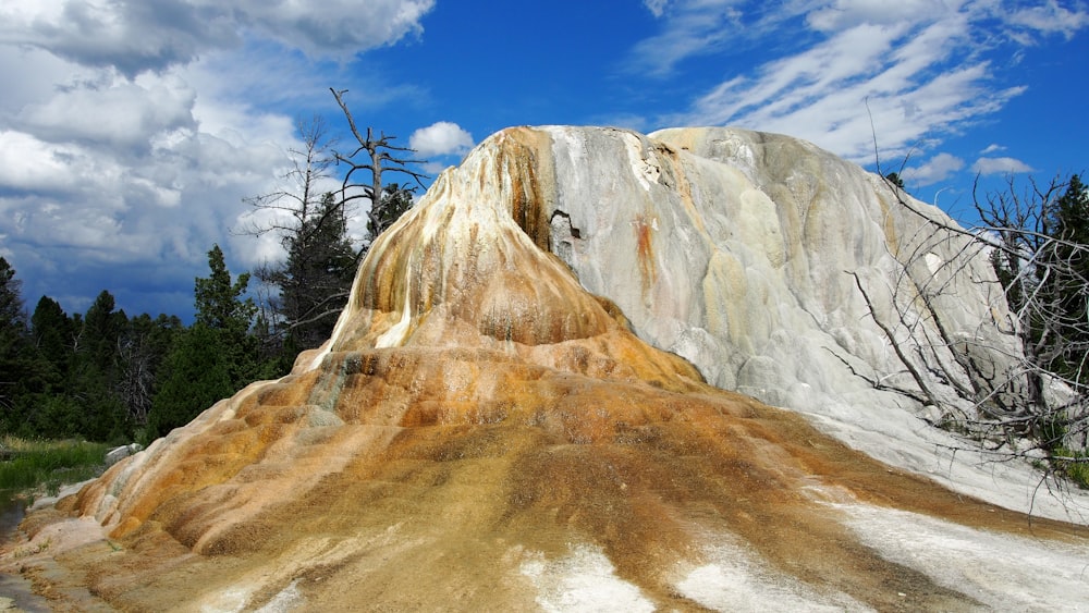 bare tree on rocky mountain under blue sky during daytime