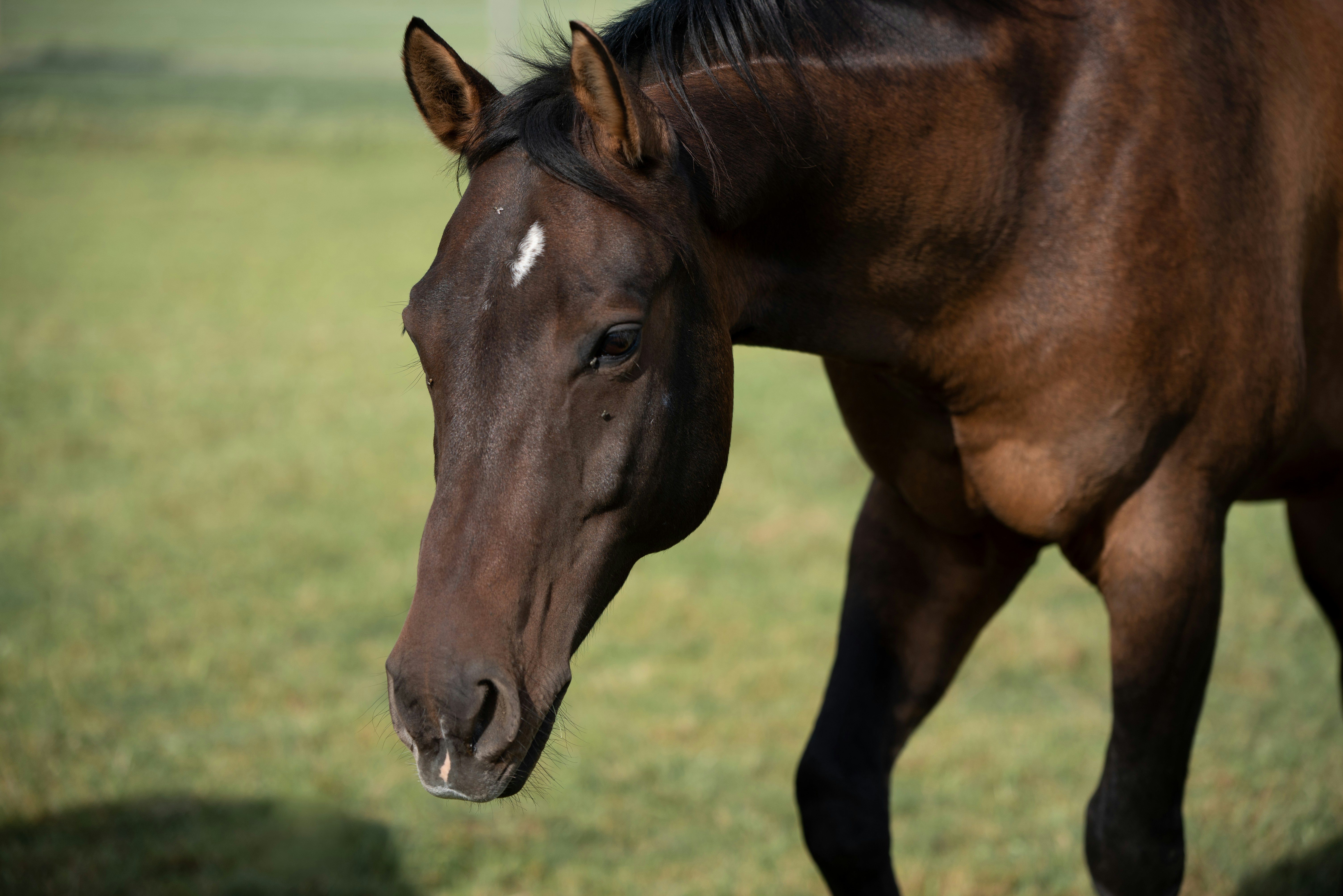 Photo by loriane_photography