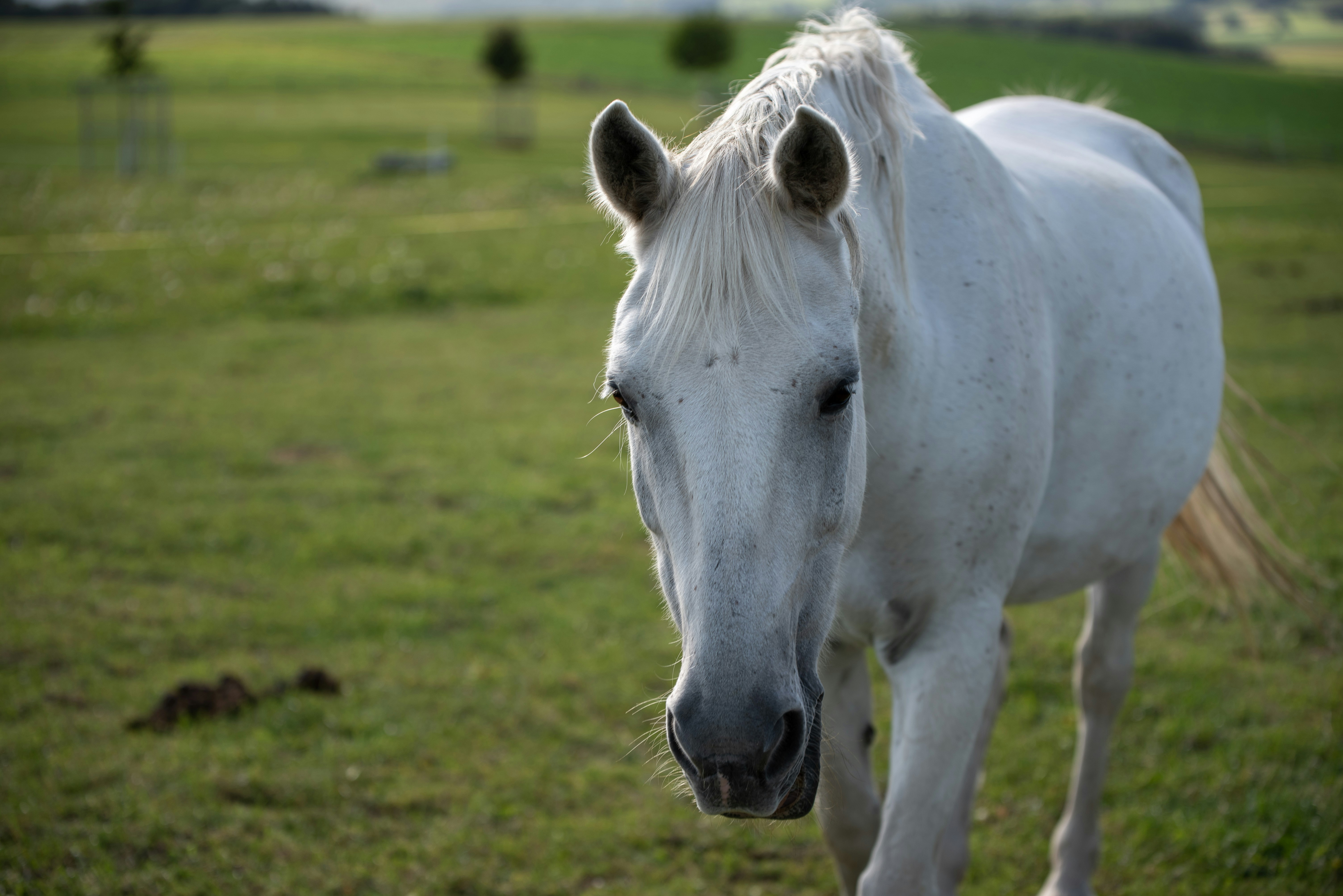 Photo by loriane_photography
