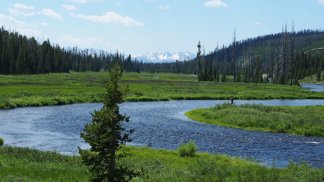 Nature reserve photo spot Yellowstone National Park Yellowstone Lake