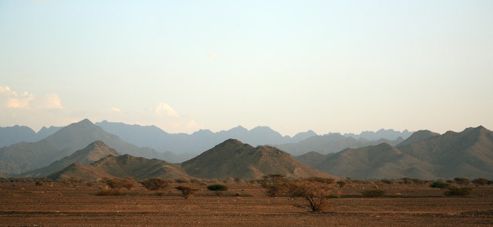 brown field near green mountains under white sky during daytime