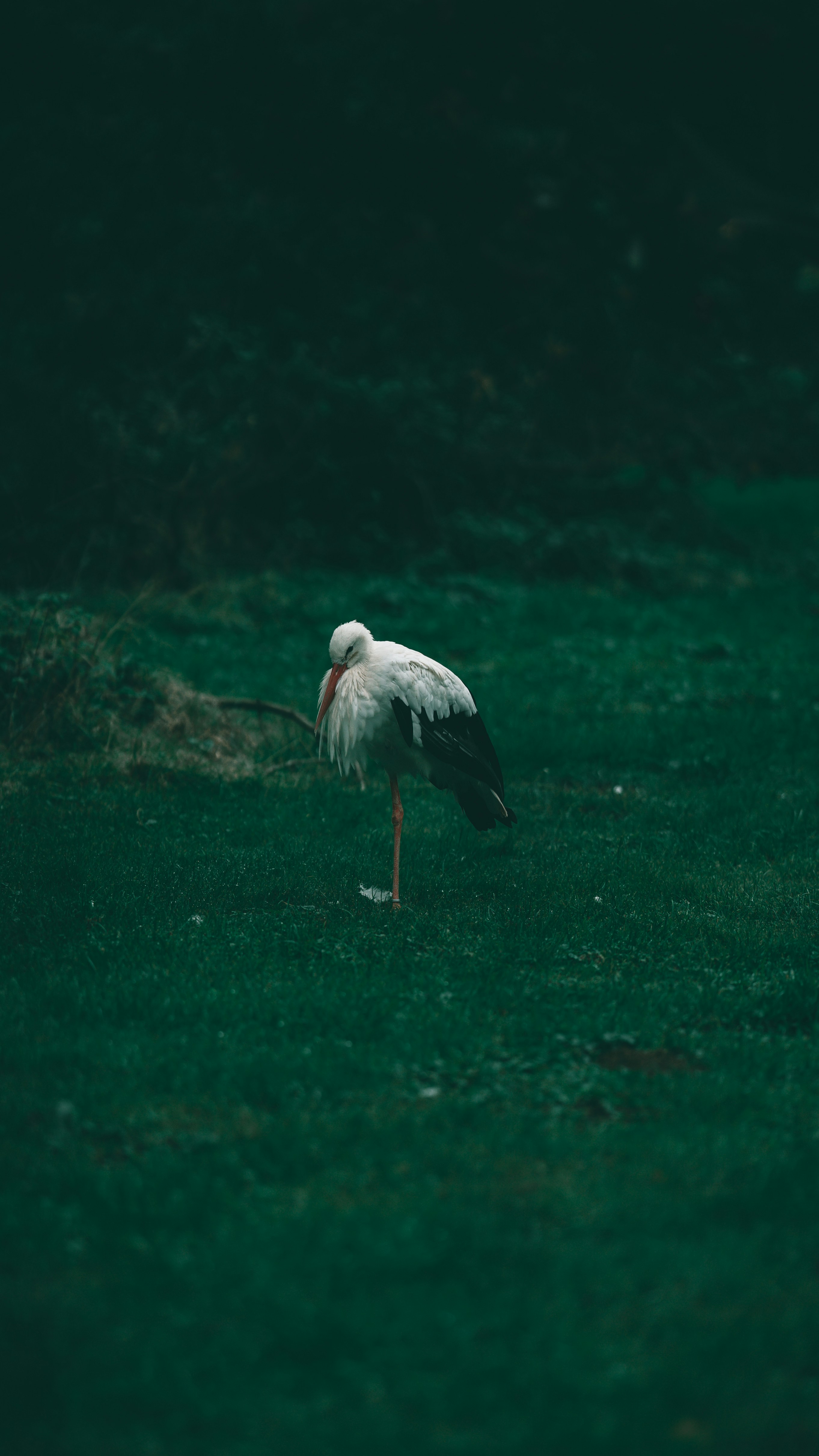 Photo by omarvellous14