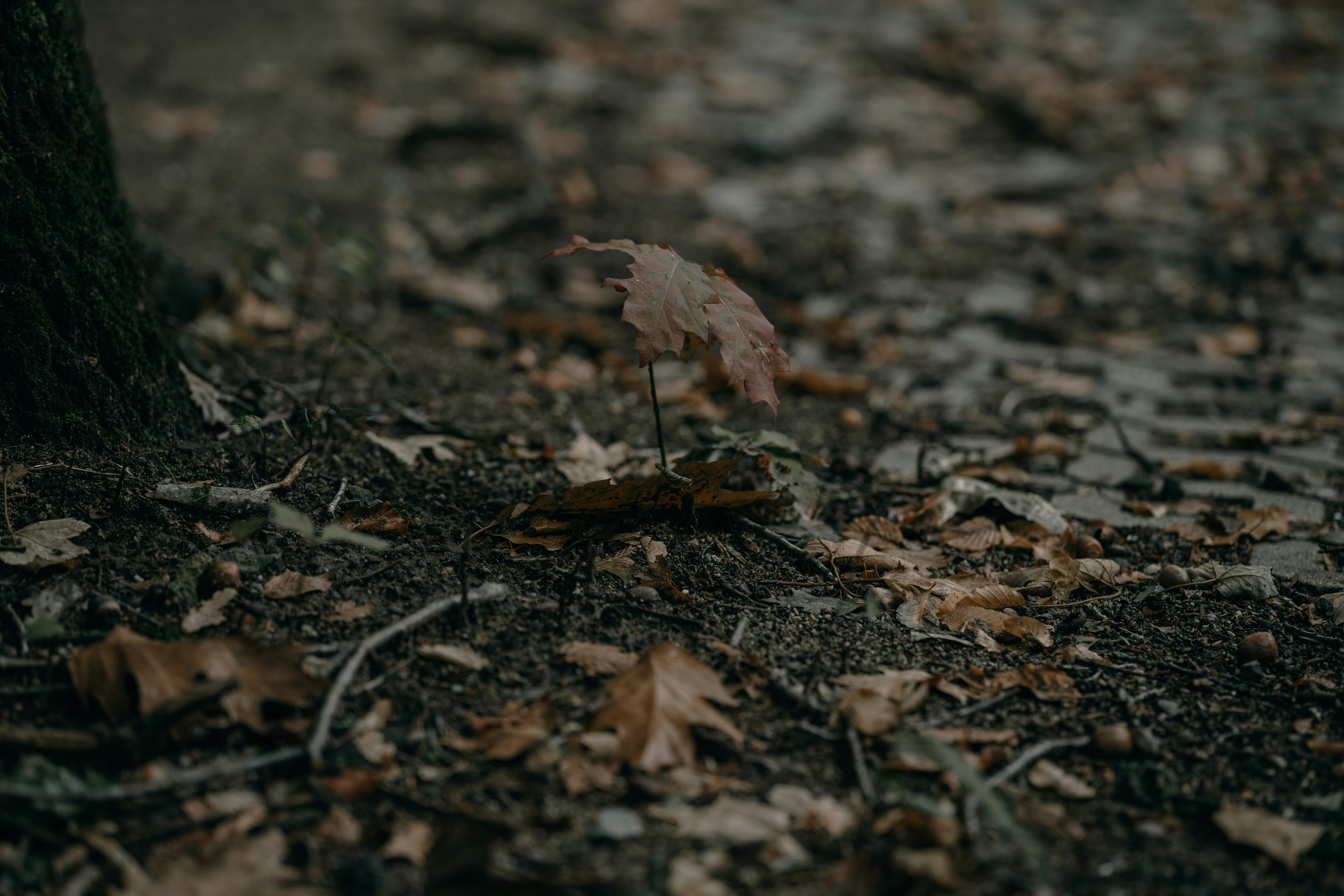 Photo by omarvellous14