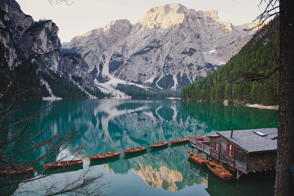 brown wooden house on dock near lake and snow covered mountain