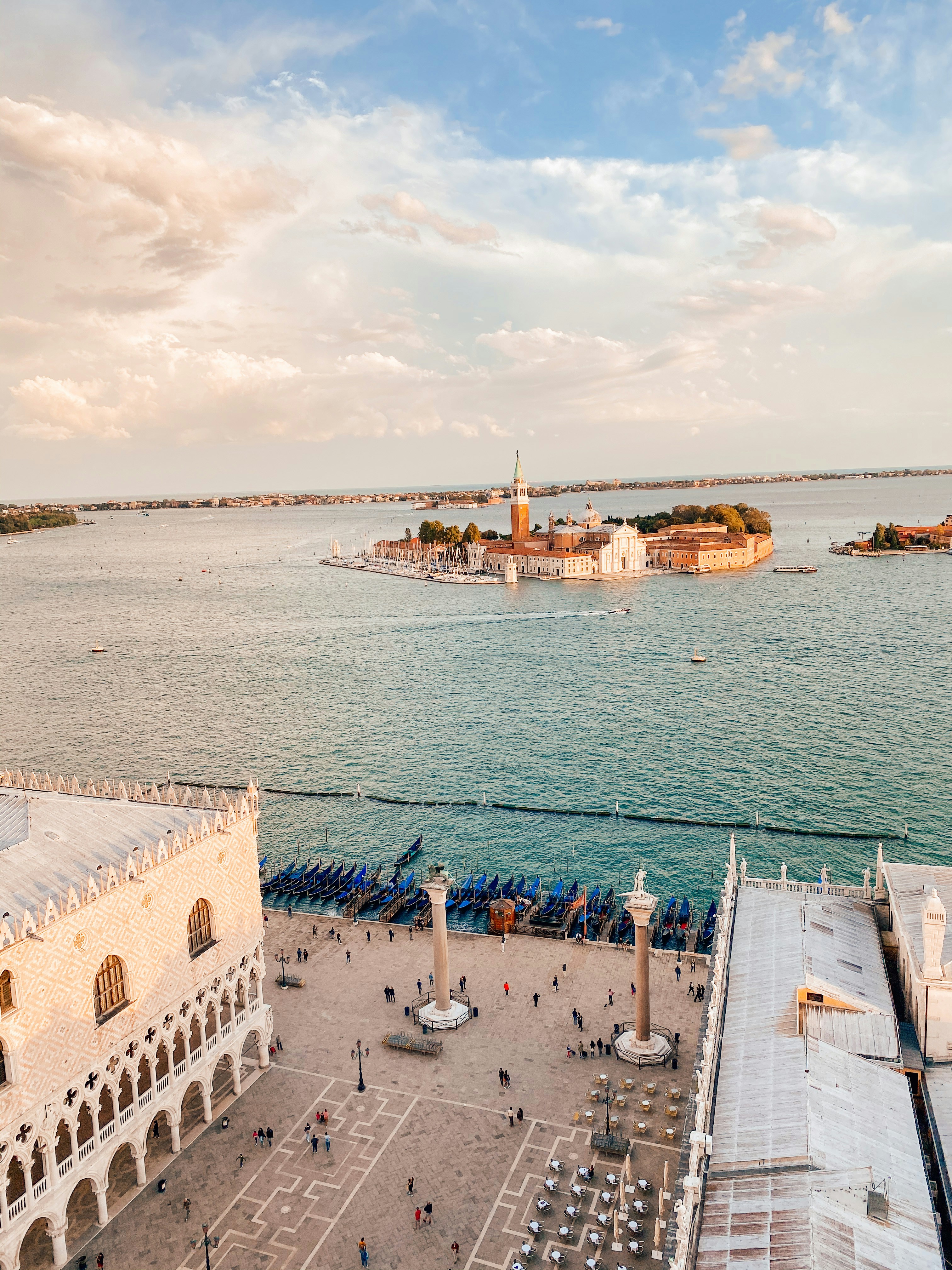 people on beach during daytime