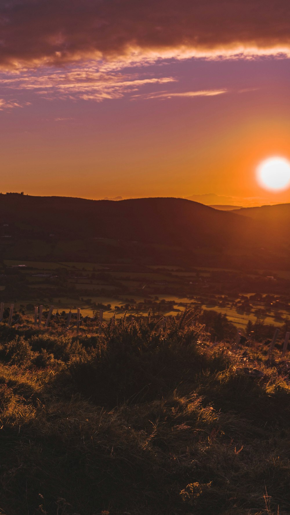 green grass field during sunset