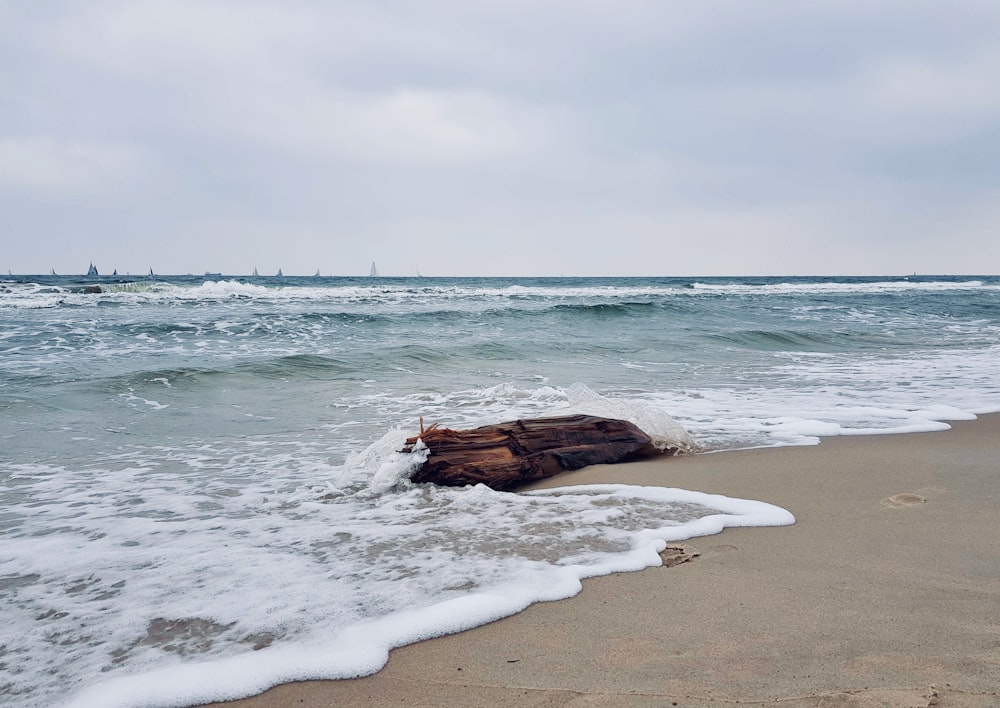 roche brune sur le bord de mer pendant la journée