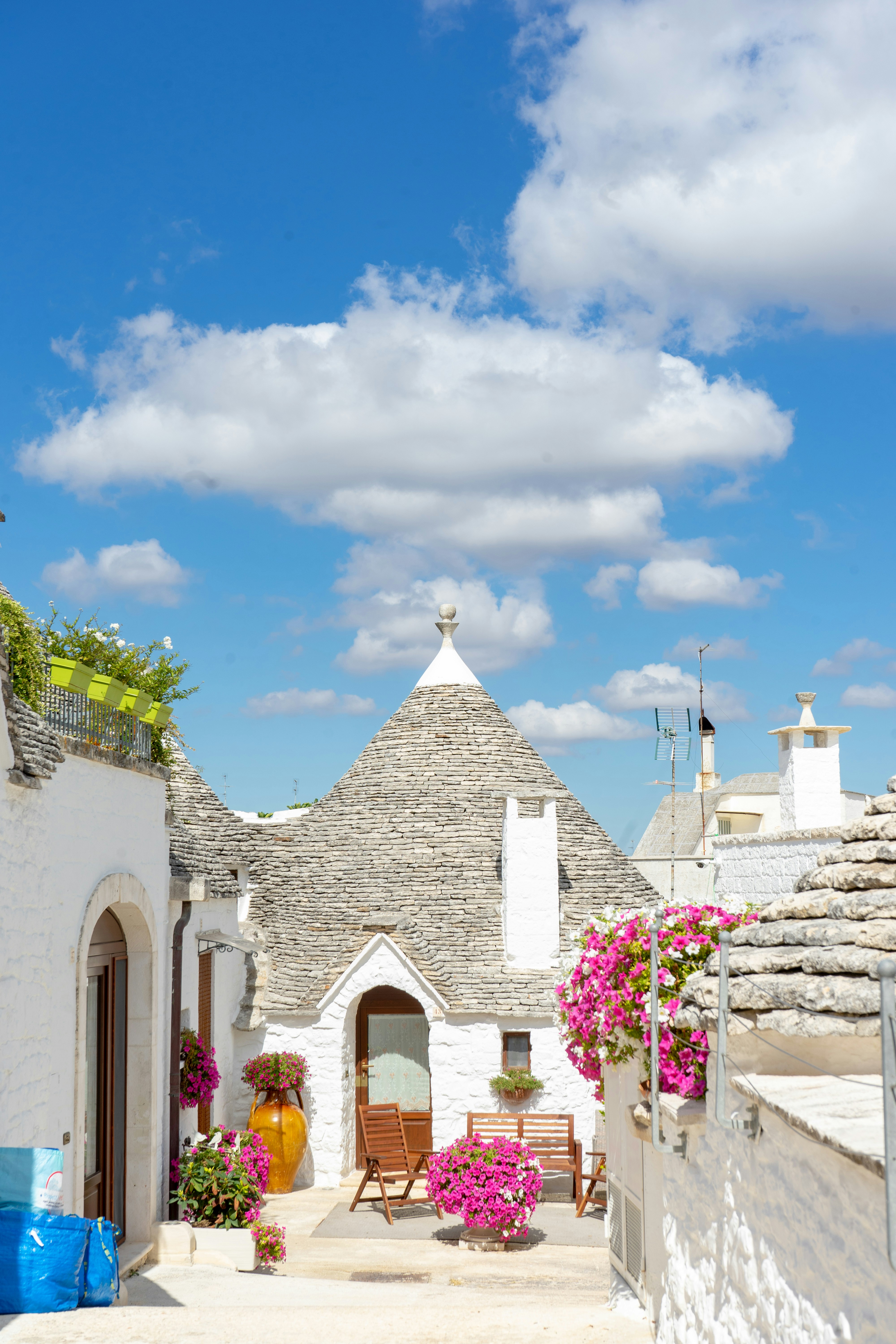 Photo by gritsngiggles