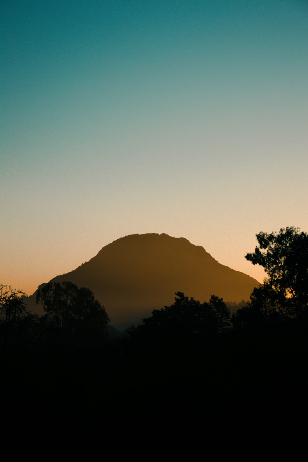 silhouette of trees and mountains during sunset