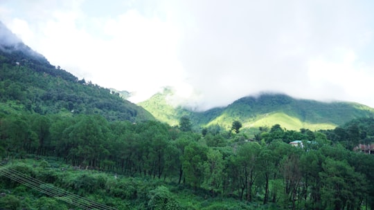 green trees on mountain during daytime in Dharamshala India