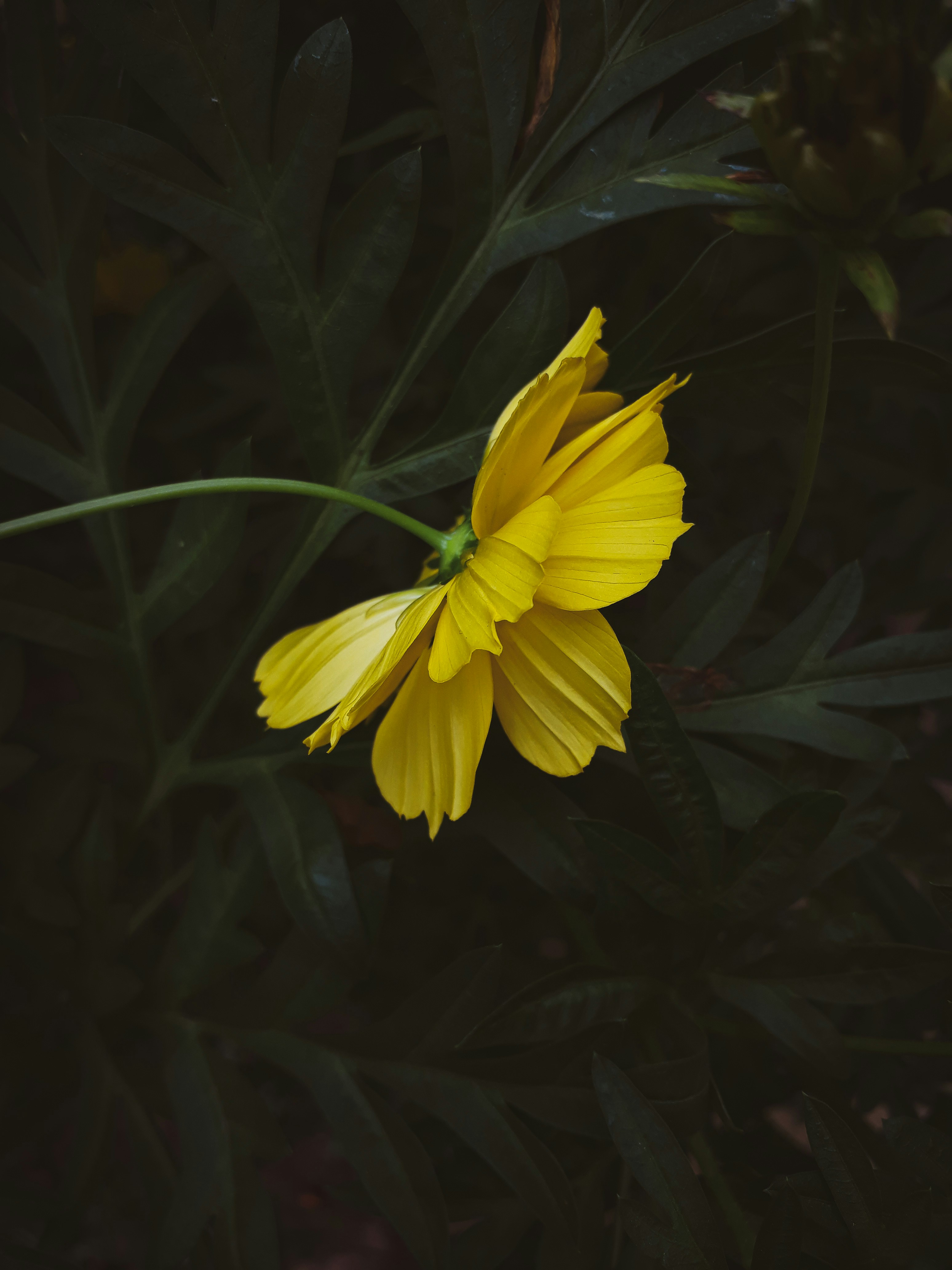 Photo by karthik_1023