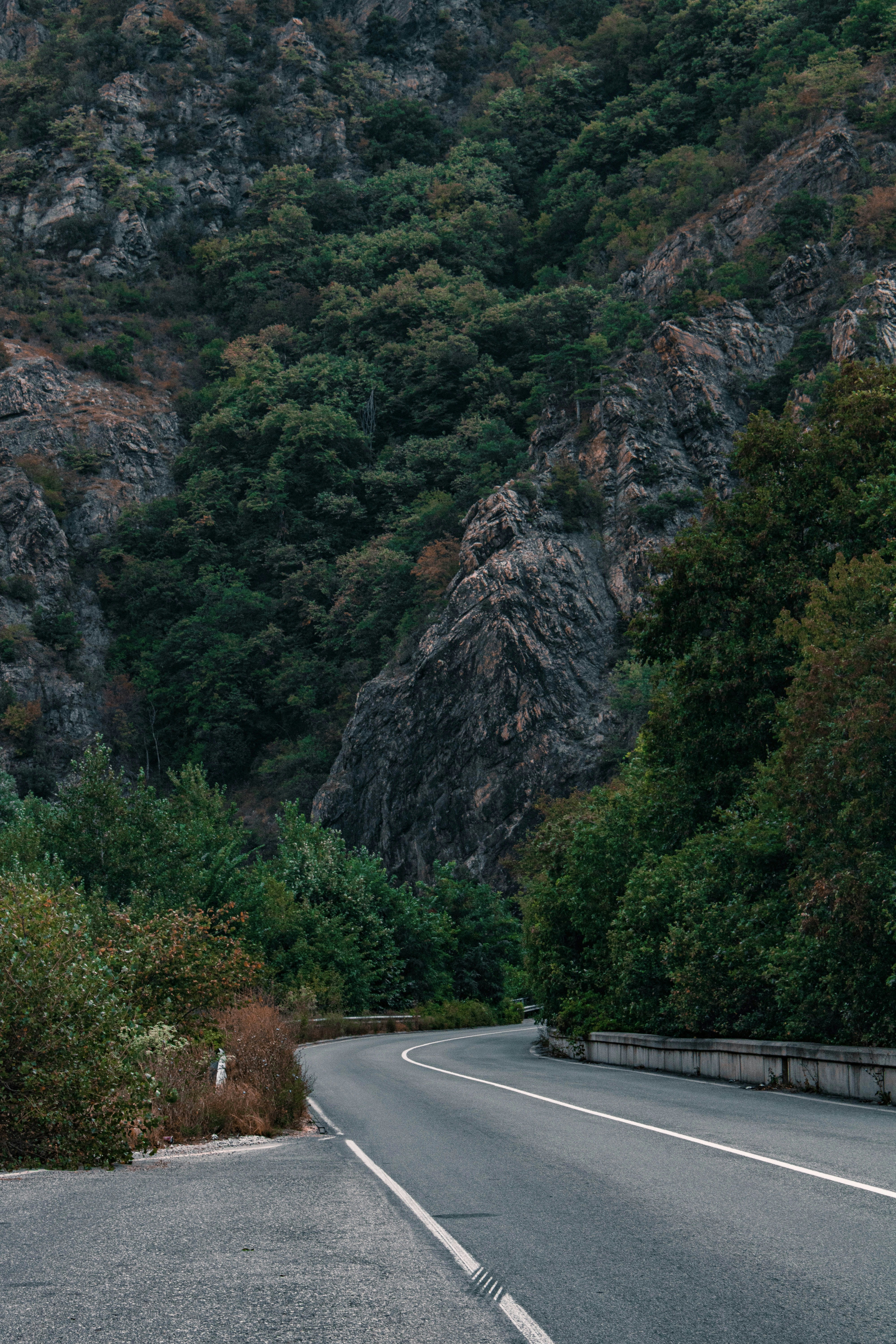 Photo by alinna_photography