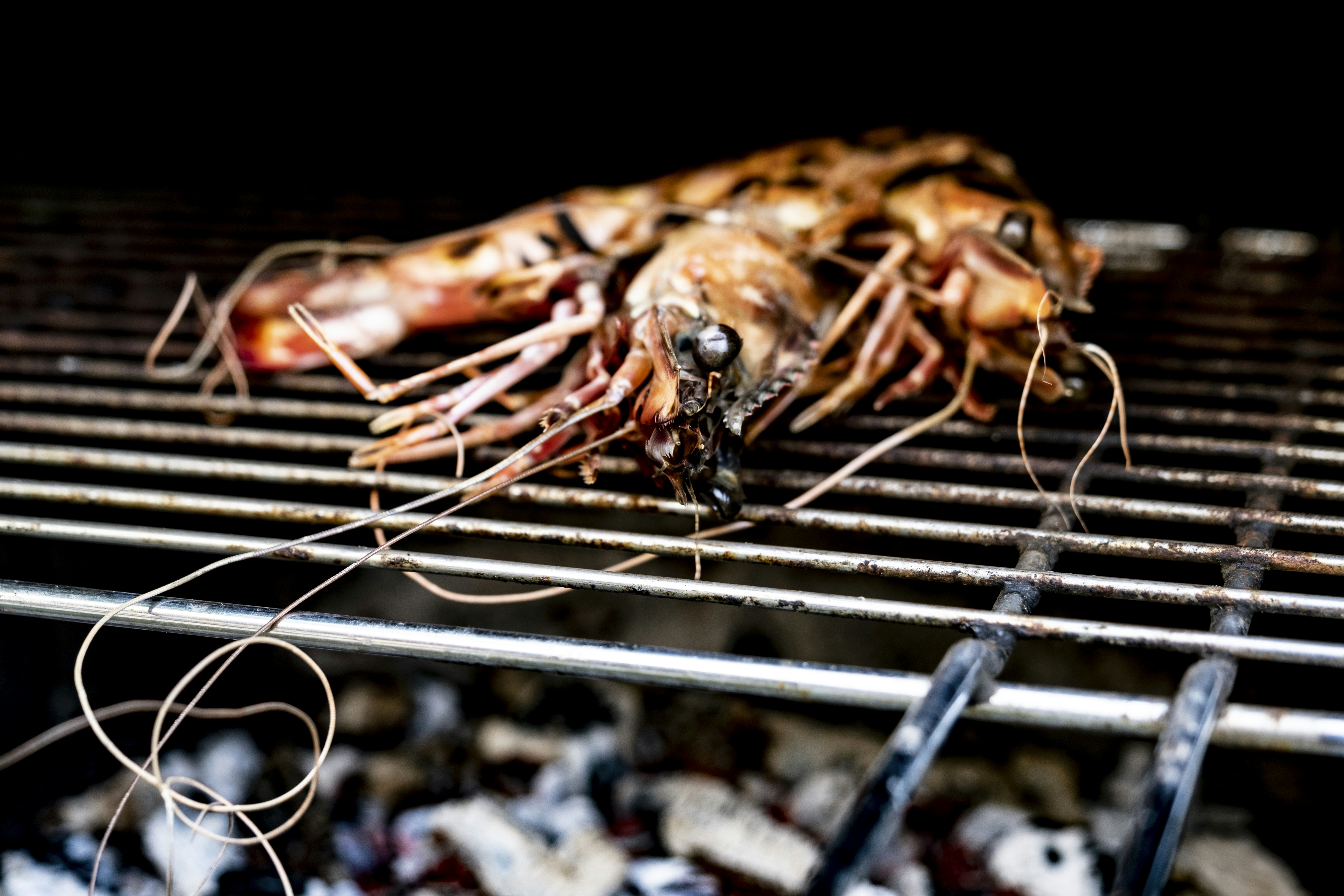 "Corporate Catering in Querétaro | SG Catering Autor"'s image