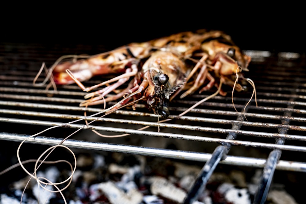 grilled shrimp on black metal grill