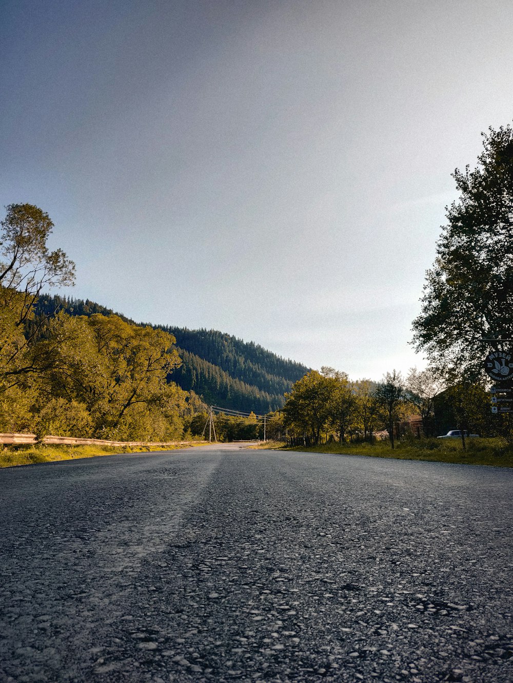 arbres verts le long de la route grise pendant la journée