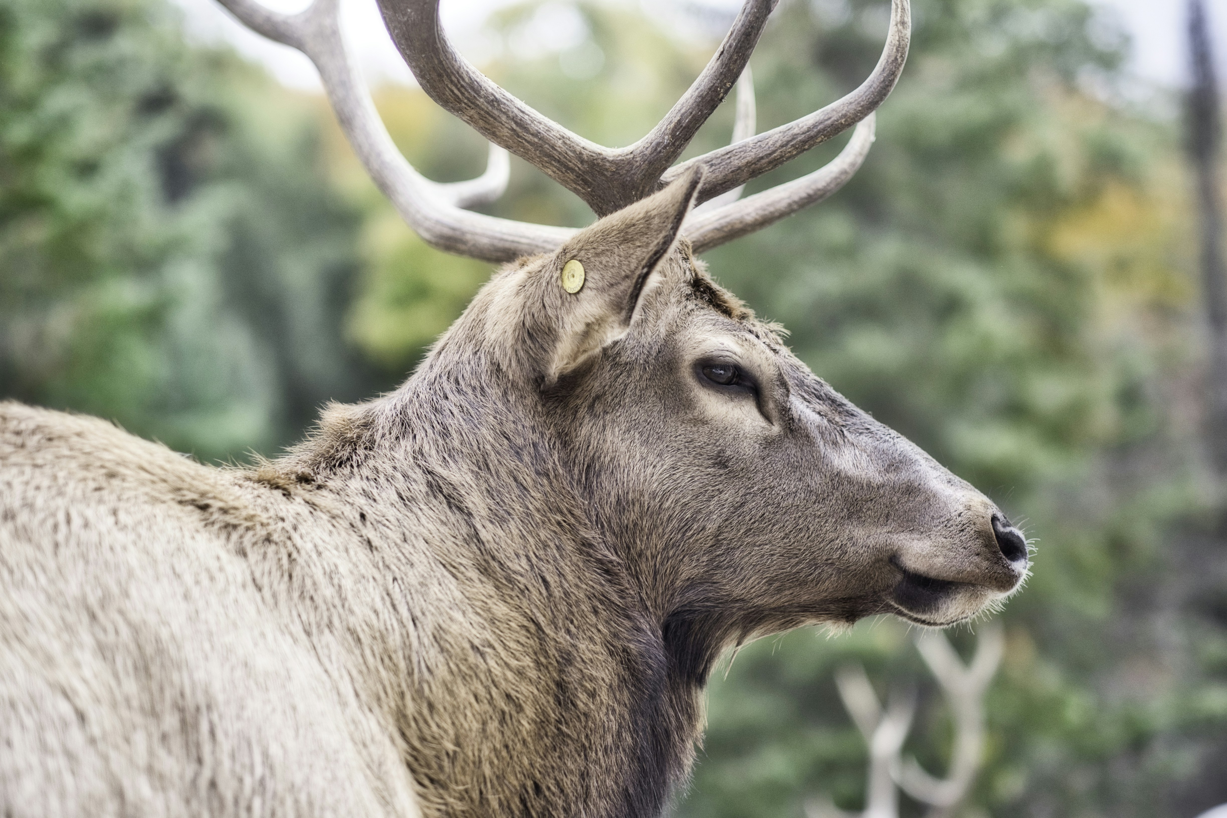 Photo by michael_exploring